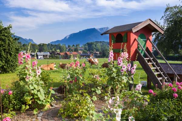 Bild aus der Galerie