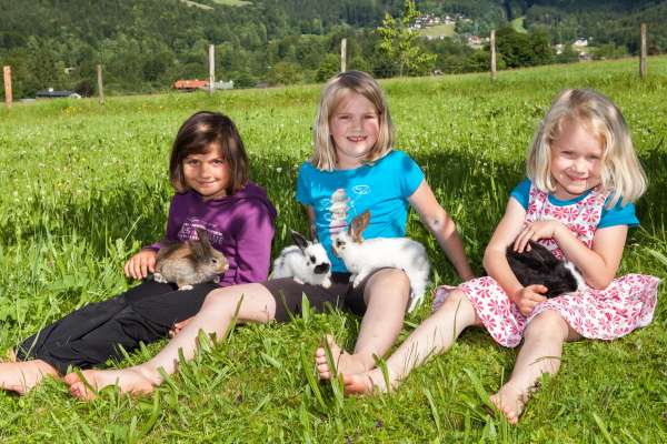 Bild aus der Galerie