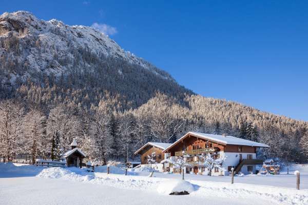 Bild aus der Galerie