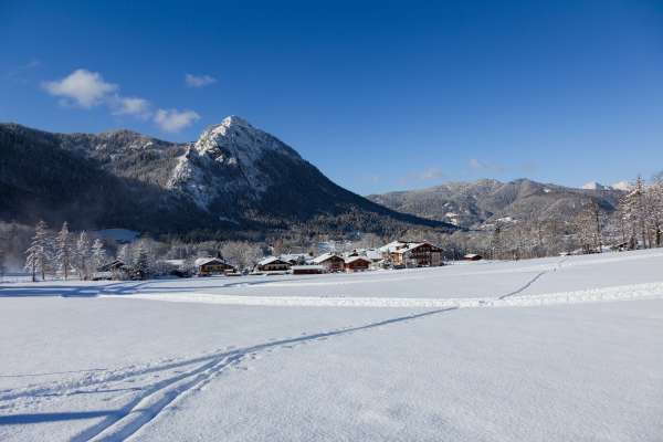 Bild aus der Galerie