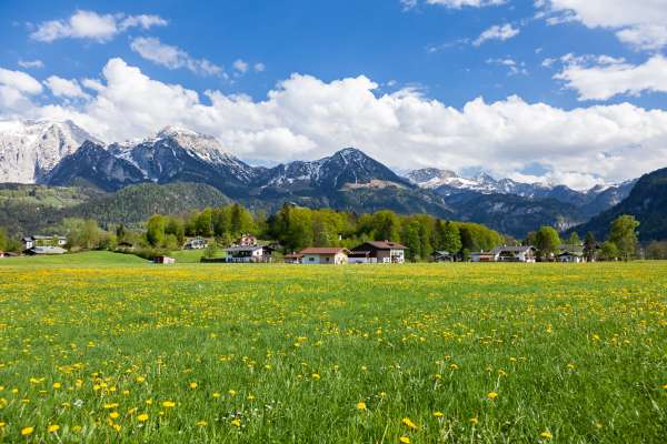 Bild aus der Galerie