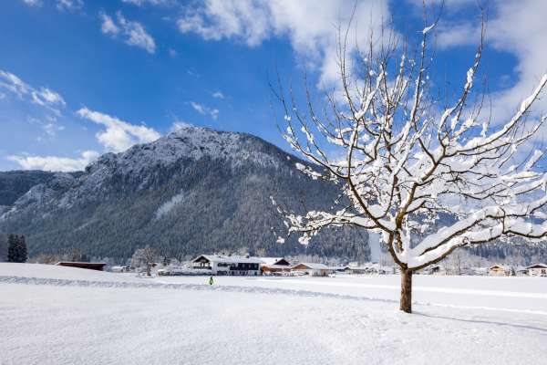 Bild aus der Galerie