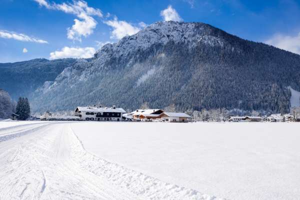 Bild aus der Galerie