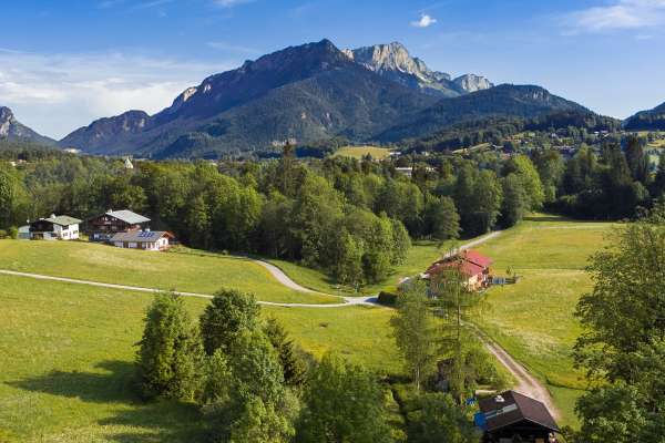 Bild aus der Galerie