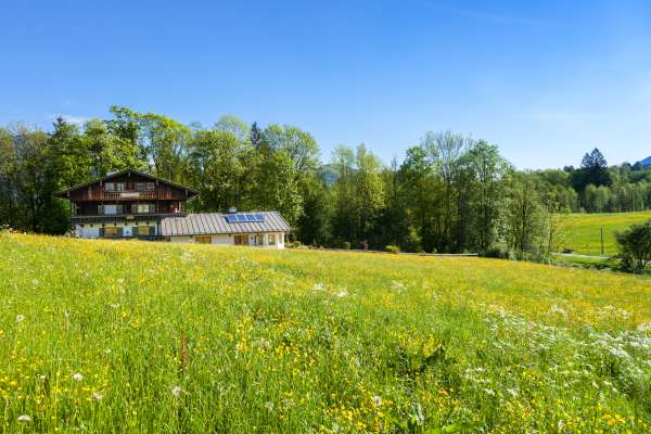 Bild aus der Galerie