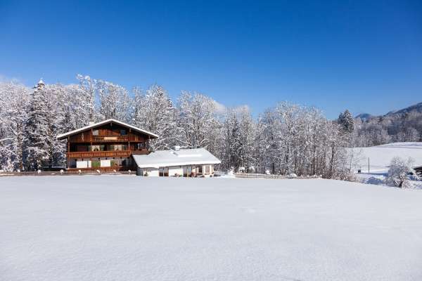 Bild aus der Galerie