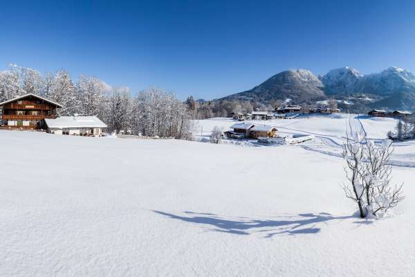 Bild aus der Galerie