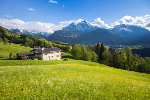 Bild aus der Galerie