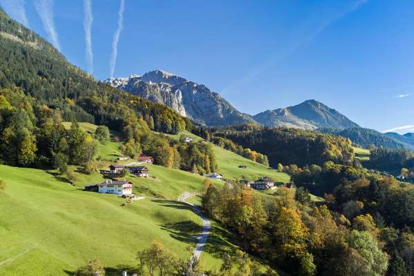 Bild aus der Galerie