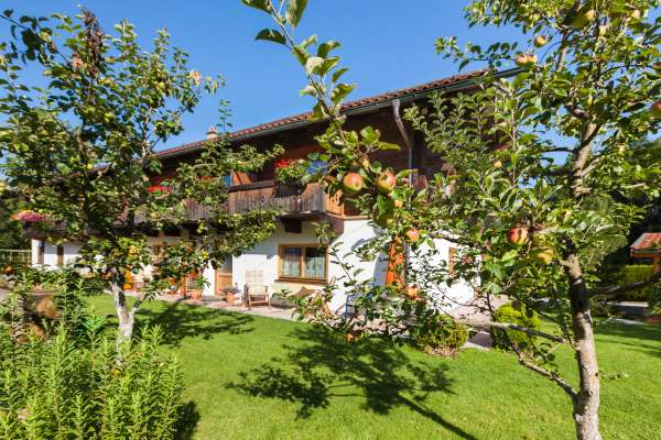 Bild aus der Galerie