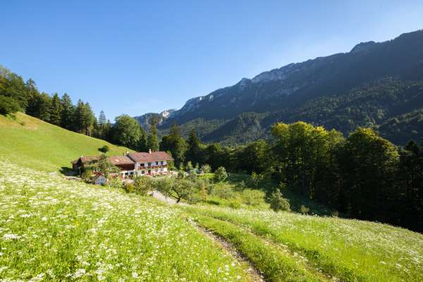 Bild aus der Galerie