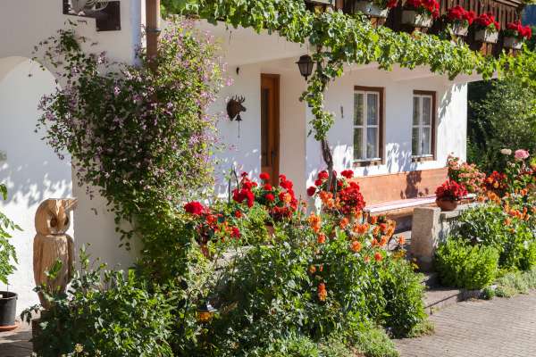 Bild aus der Galerie