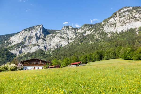 Mehr zu Oberbodenpoint