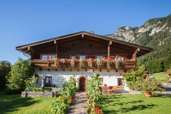 Bild aus der Galerie