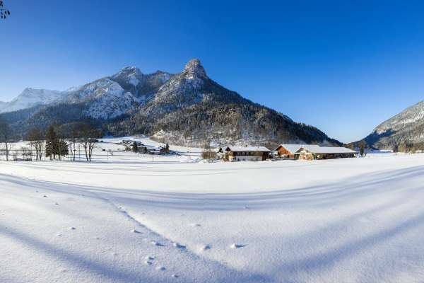 Bild aus der Galerie