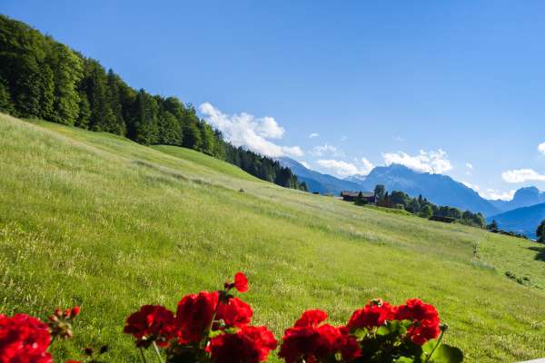 Bild aus der Galerie