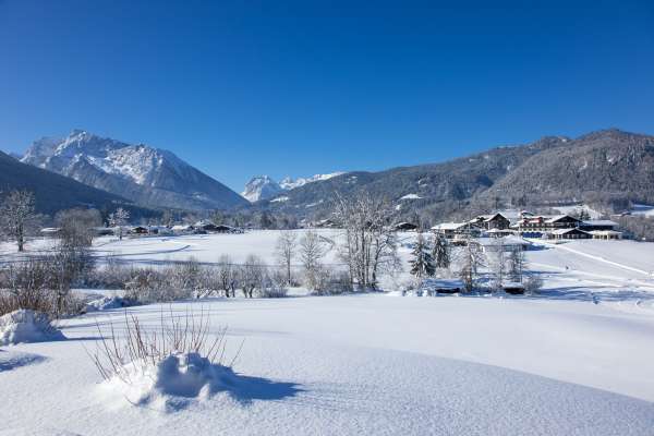 Bild aus der Galerie