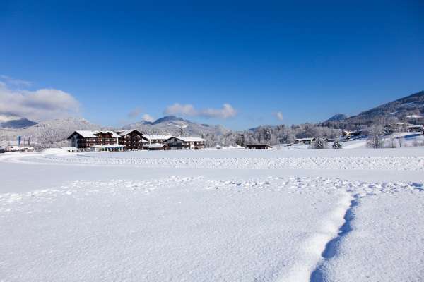 Bild aus der Galerie