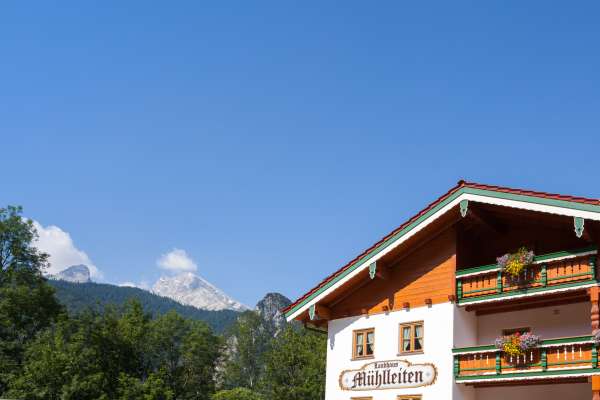 Bild aus der Galerie