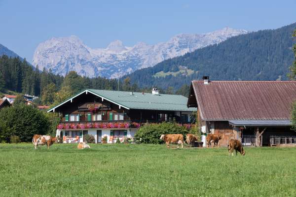 Bild aus der Galerie