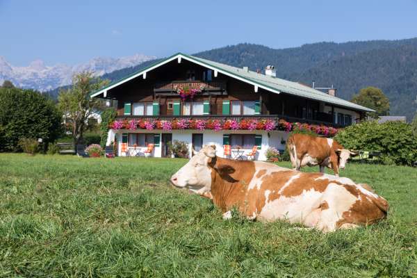 Bild aus der Galerie