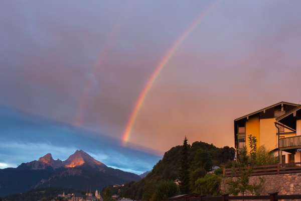 Bild aus der Galerie