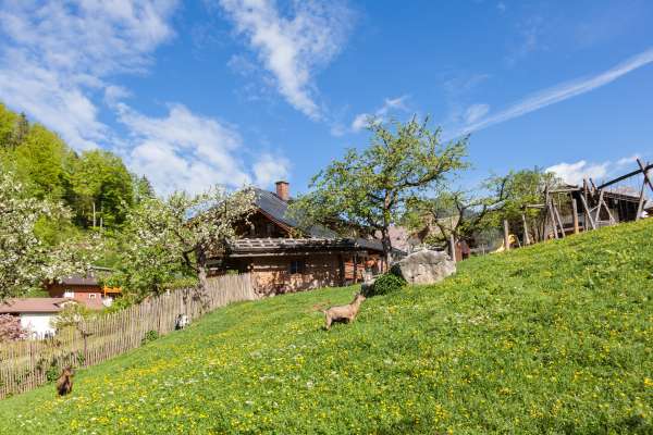 Bild aus der Galerie