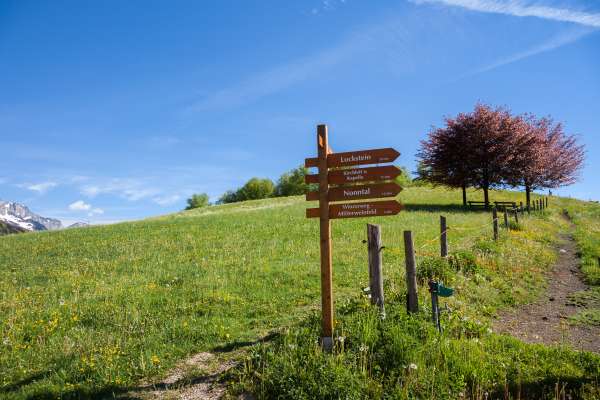 Bild aus der Galerie