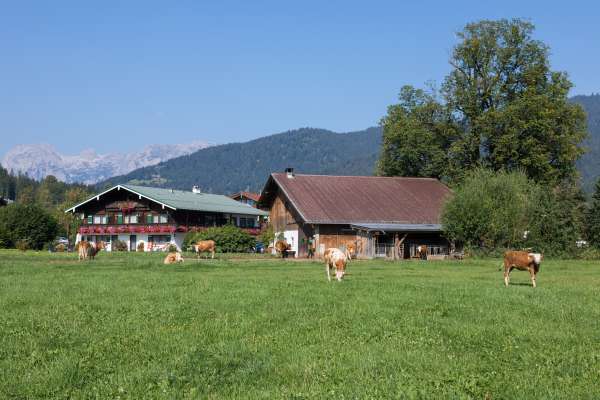 Bild aus der Galerie