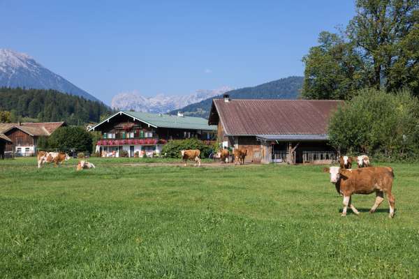 Bild aus der Galerie