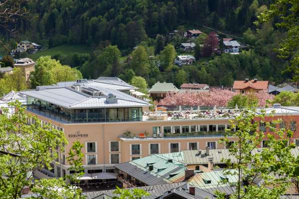 Bild aus der Galerie