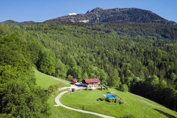 Bild aus der Galerie