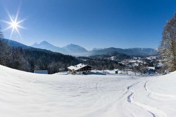 Bild aus der Galerie