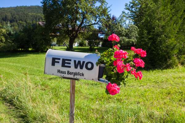 Bild aus der Galerie