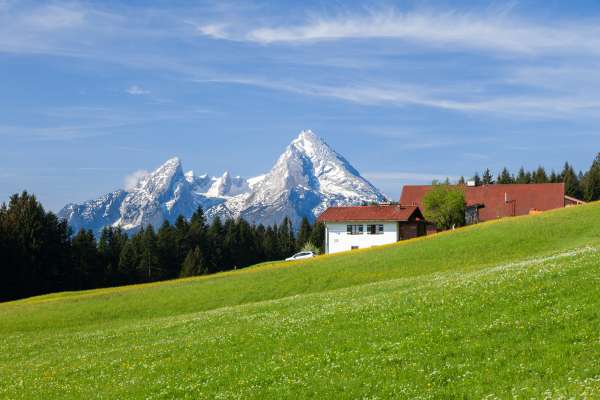 Bild aus der Galerie