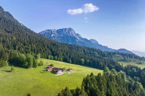 Bild aus der Galerie