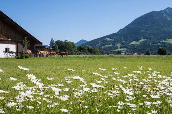 Bild aus der Galerie