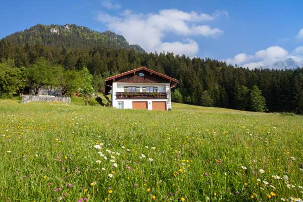 Bild aus der Galerie