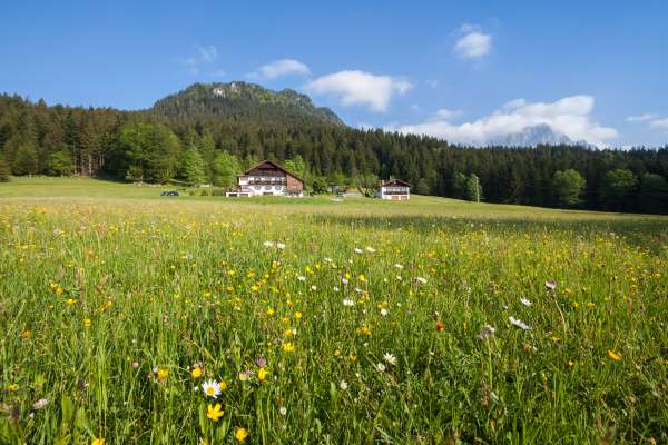 Bild aus der Galerie