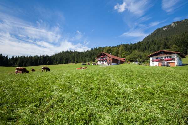 Bild aus der Galerie