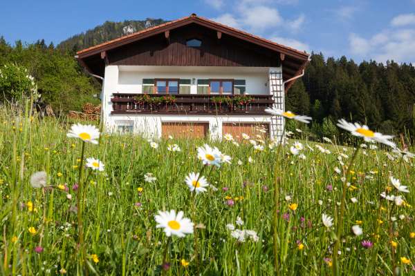 Bild aus der Galerie