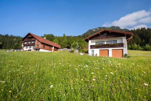 Bild aus der Galerie