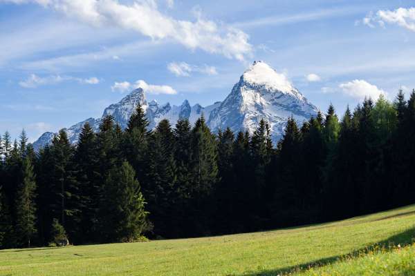 Bild aus der Galerie