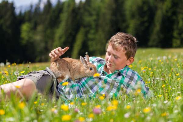 Bild aus der Galerie