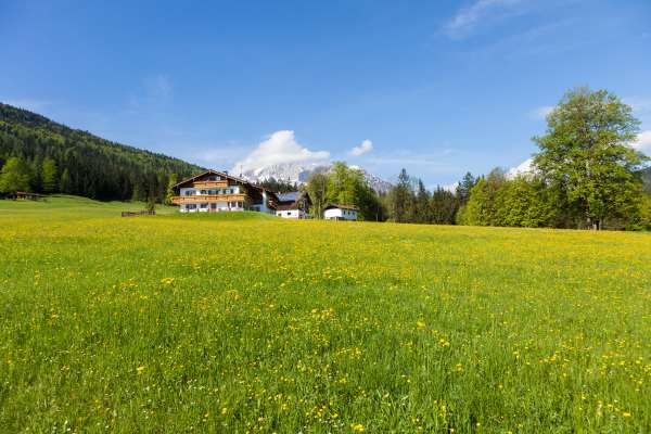 Bild aus der Galerie