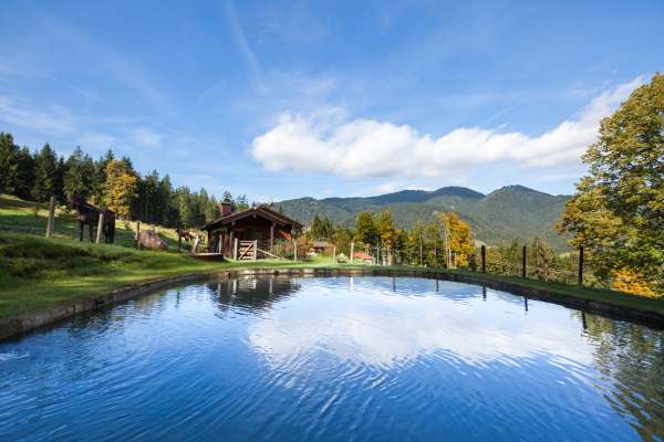 Bild aus der Galerie