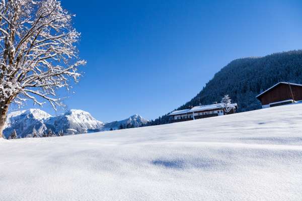 Bild aus der Galerie