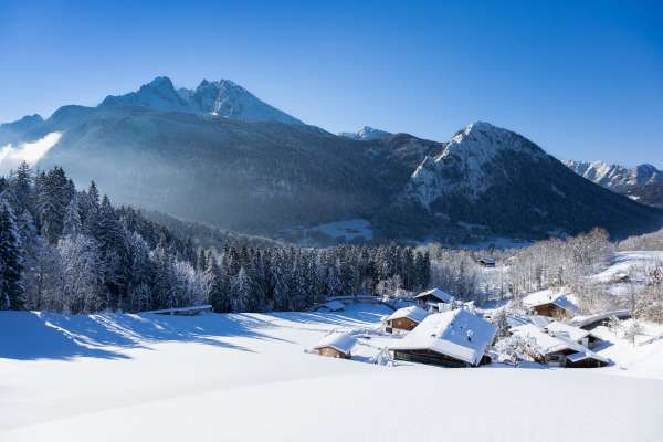 Bild aus der Galerie