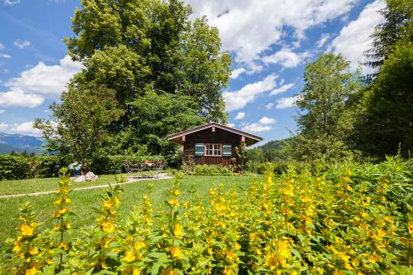 Bild aus der Galerie