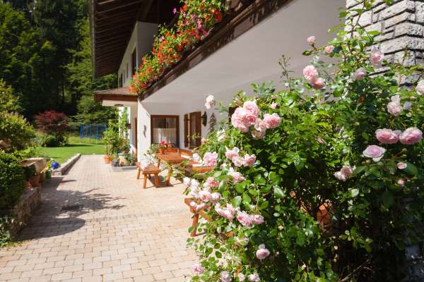 Bild aus der Galerie